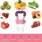 Silicone Fruit Nibbler for Kids 