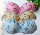 Padded Full Coverage Bra for Women 