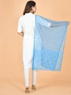Net Self-Design Dupatta for Women 