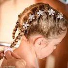Plastic Hair Clips for Women & Girls 