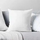 Web india Microfibre Filled Cushion,16X16 Inch,Set of 1 