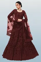 Net Embroidred Semi Stiched Lehenga Choli for Women 