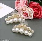 Plastic Hair Clutcher for Women & Girls 