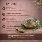 Vedaartha Indigo Powder for Black Hair, 200 g