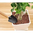 Immutable Garden Tools for Home Gardening Set, Gardening Trowel, Garden Fork, Wooden Handle 