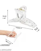 ABS Plastic Hair Clutcher for Women & Girls 