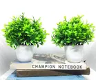 Artificial Plants with Pot 