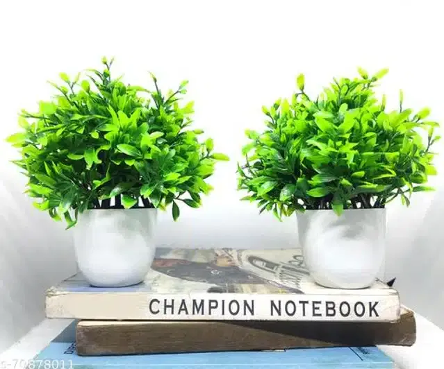 Artificial Plants with Pot (Green & White, Pack of 2)