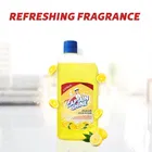 Captain Shine Disinfectant Floor Cleaner 500 ml 