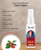 Bejoy Lumbar Spine Pain Relief Herbal Spray 