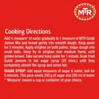 MTR गुलाब जामुन मिक्स 500 g