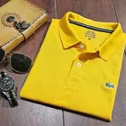 Polo Neck Solid T-Shirt for Men 