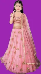 Net Embroidered Semi Stitched Lehenga for Girls 