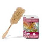 Majestique Shower Cap for Women with Long Handle Bath Loofah (Combo of 3) (B-15)