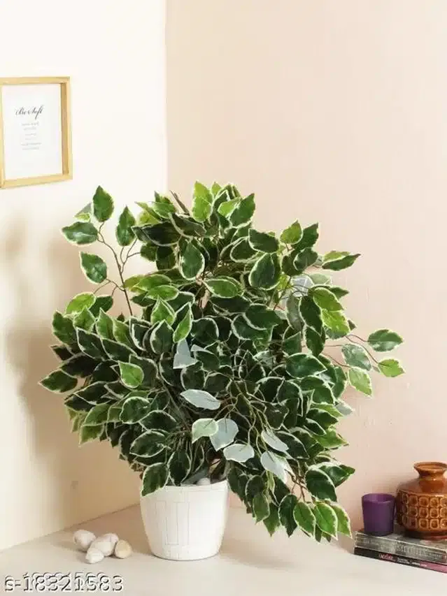Polyester Artificial Ficus Plant (Green, Pack of 6)