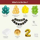 Jungle Theme 2nd Birthday Balloon Decoration Kit , Multicolor, Pack Of 63