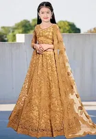 Net Embroidered Semi Stitched Lehenga for Girls 