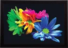 PVC Printed Dining Table Placemats 