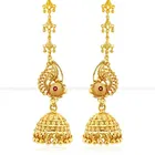 Gold Plated Earrings for Women & Girls 