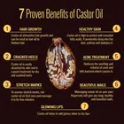 Park Daniel Cold Pressed Castor Oil 