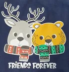 Full Sleeves Sweatshirt for Boys 