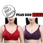 Padded Bra for Women, Pack of 2 