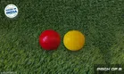 PVC Cricket Balls (Red & Yellow, Pack of 2)