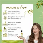 केयरवेदा ओलिव ओएसिस हेयर ऑइल 100 ml