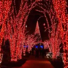 MPROW 11 Meter Decorative Red LED Pixel String Light 