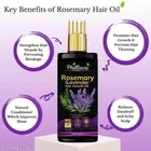 Phillauri Rosemary & Lavender Hair Oil 