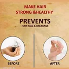 Phillauri Adivasi Hair Oil 