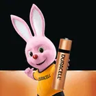 DURACELL Alkaline AAA Battery 