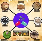 Good Health Syrup 500 ml & with 50 Pcs Capsules 