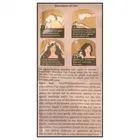 स्ट्रिक्स इंस्टा शैम्पू हेयर कलर नेचुरल ब्राउन 4, 3X18 ml 