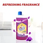 Captain Shine Disinfectant Floor Cleaner 500 ml 