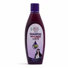 आयुर आंवला शिकाकाई विद रीठा शैम्पू, 200 ml