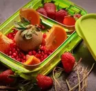 2 Containers Lunch Box 