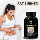 Fij Ayurveda 60 Pcs Fat Burner Capsule