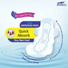 फेमिस ड्राई नेट फील सैनिटरी पैड्स 