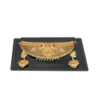 Gold Plated Necklace with Earrings Set for Women 