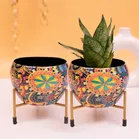 Decorative Flower Pot  (Multicolor)
