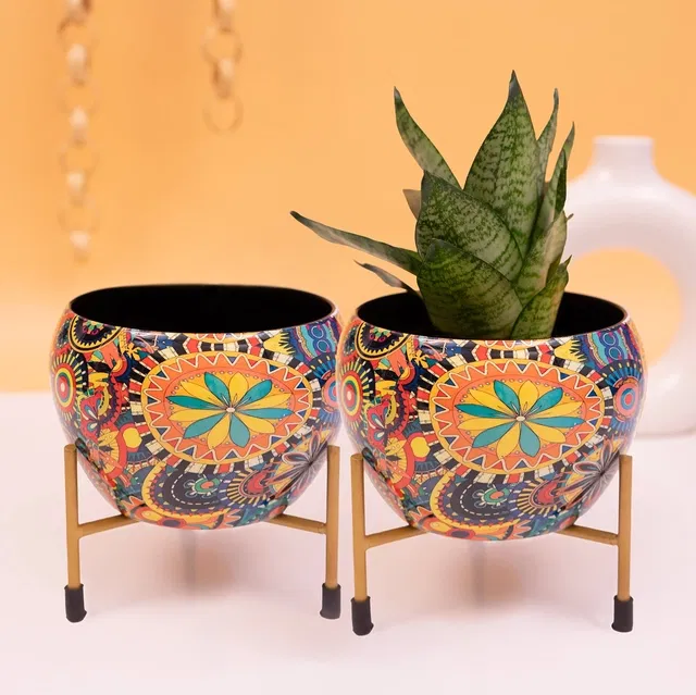 Decorative Flower Pot  (Multicolor)