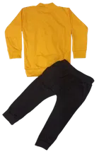 Hosiery Printed Clothing Set for Kids 