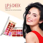 Shryoan Lip and Cheek Palette, Shade 02, 15 g