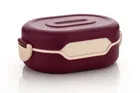 Parikshit Testy Lunch Box, pack of 1-Brown