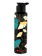 Stainless Steel Insulated Single Wall Water Bottle 