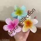 Hair Clips for Women, Pack of 3 
