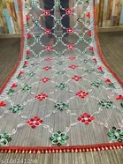 Embroidered Jaipuri Net with Aari Work Sewing & Embroidery 