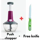 Plastic Manual Vegetables Chopper 