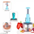 Plastic Manual Vegetables & Fruits Chopper 